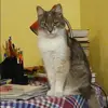 Отзыв от Инесса Ефимова